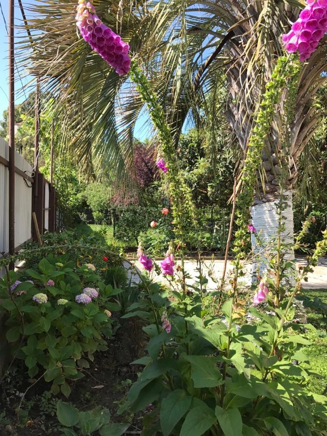 Guest House Evkalipt Ochamchira Exterior foto